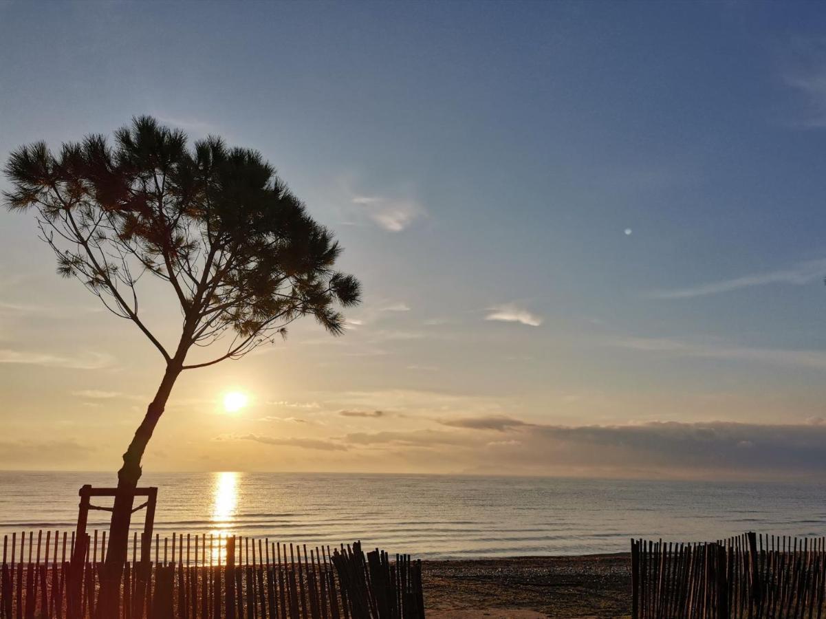 Duplex Hyeres Port Apartment ภายนอก รูปภาพ